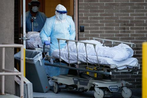 白宫果然欺骗了全世界，纽约医生冒死揭露实情