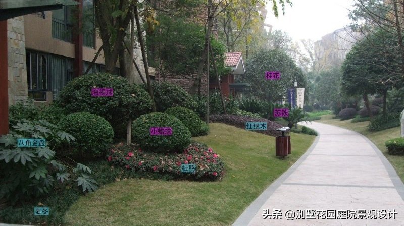 別墅庭院常用植物分享，附照片及名字標(biāo)注（珍藏版）