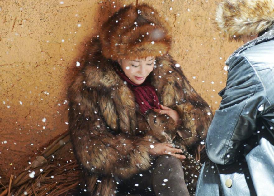 68yearold Liu Xiaoqing is too dedicated in hightemperature filming