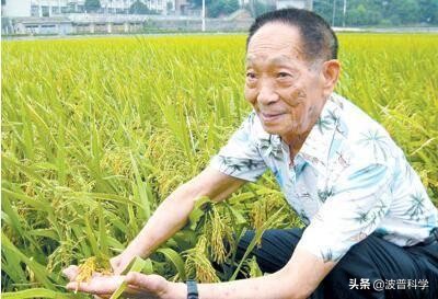 袁老最後的遺憾？荒灘變良田，真希望他活到2028年見證新成果