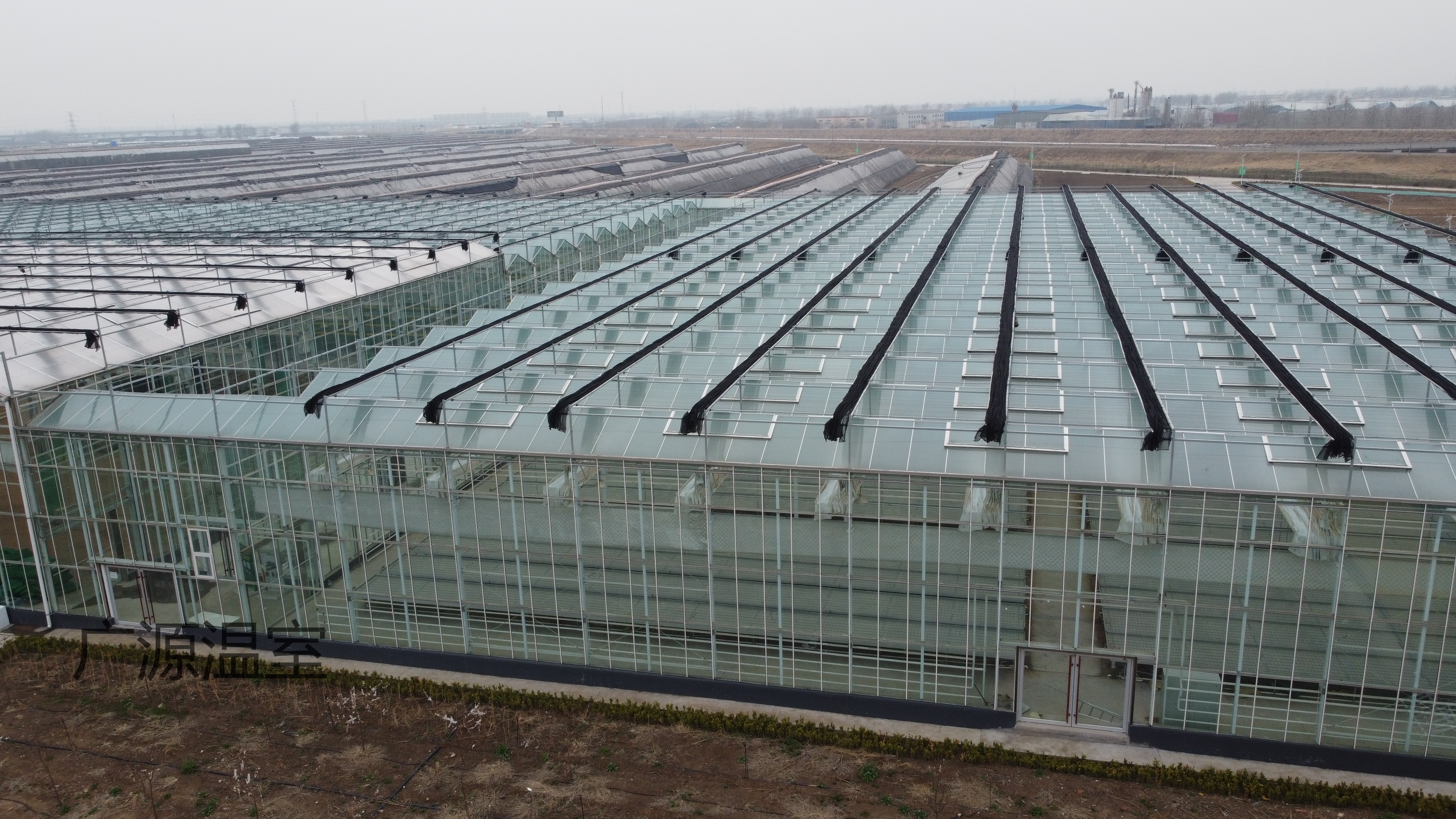 玻璃温室大棚顶部通风窗之交错开窗介绍