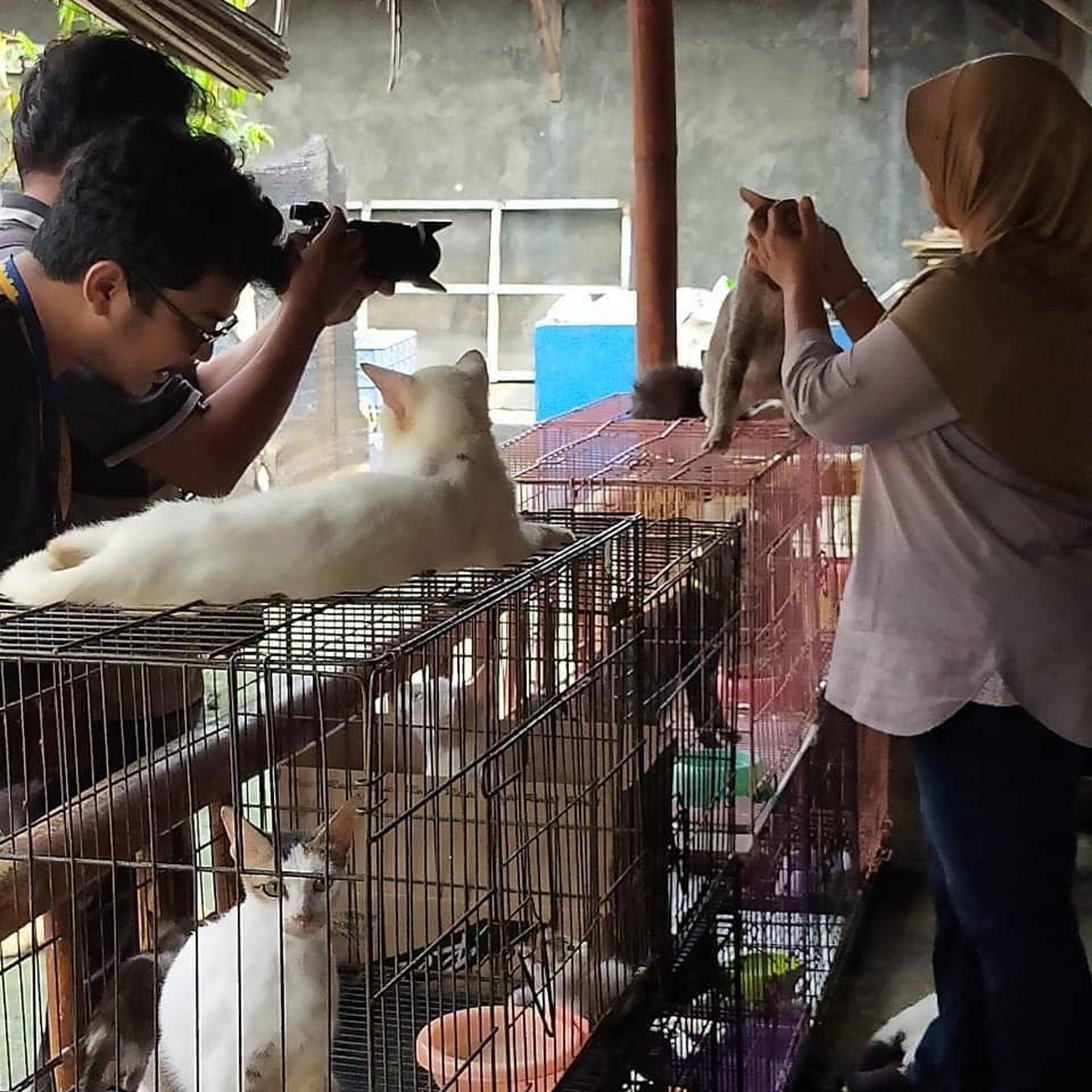 救助400只猫咪，却被恶行逼迫搬家3次，她指出流