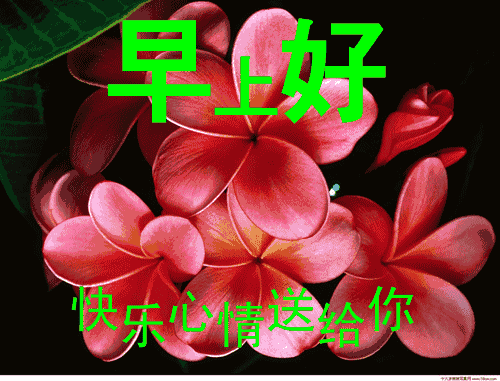最新特别漂亮的早上好图片，早上好问候语温馨短句图片