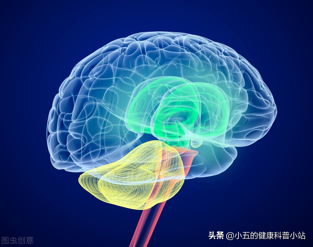改善供血？修复神经？聊一聊防治脑梗死的中成药&mdash;&mdash;华佗再造丸