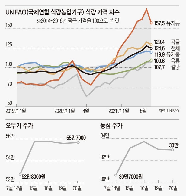 下半年全球农畜价格暴涨冲击我们的餐桌