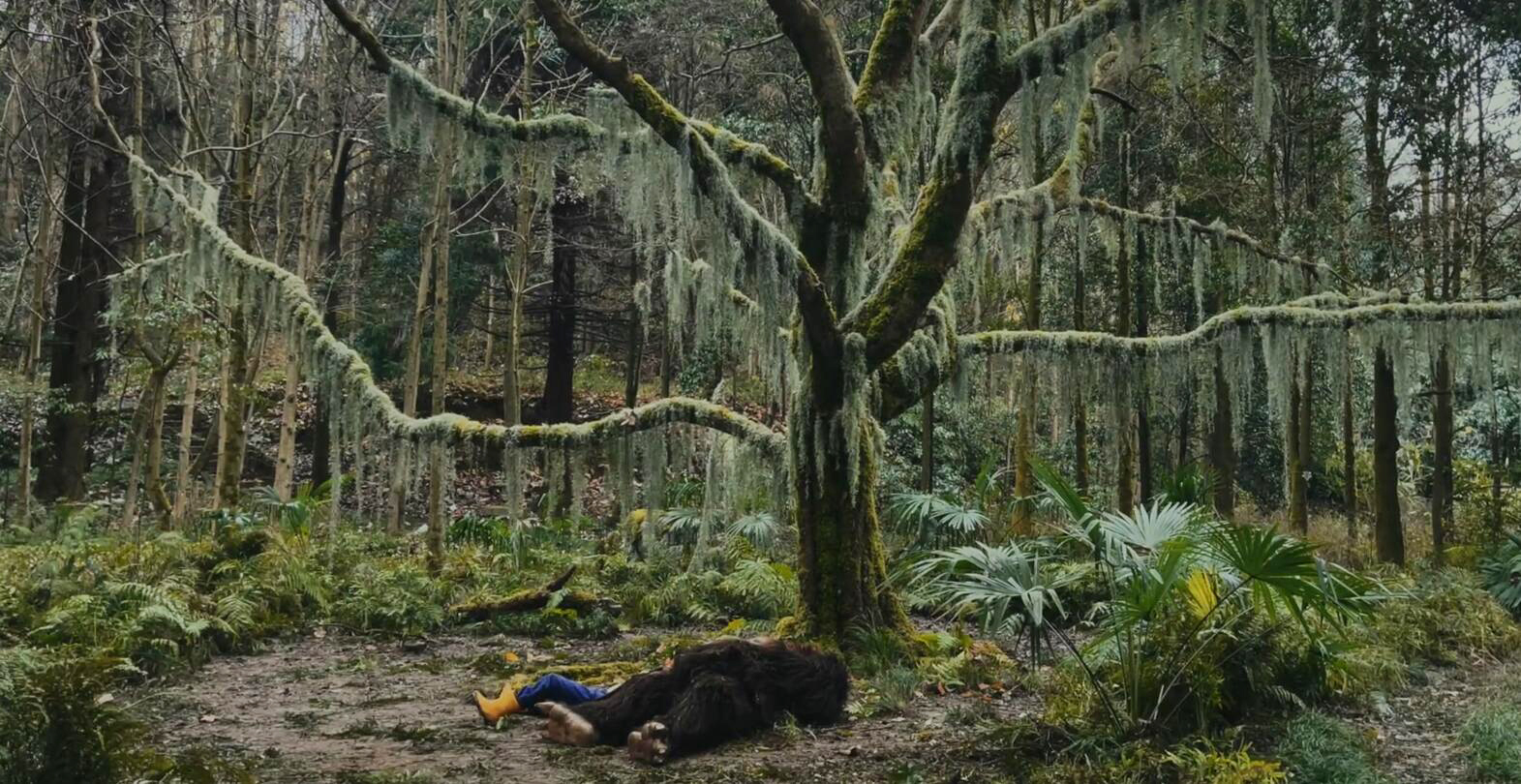 年兽究竟是好是坏？苹果新春短片引发的争议，东西方不同的解读