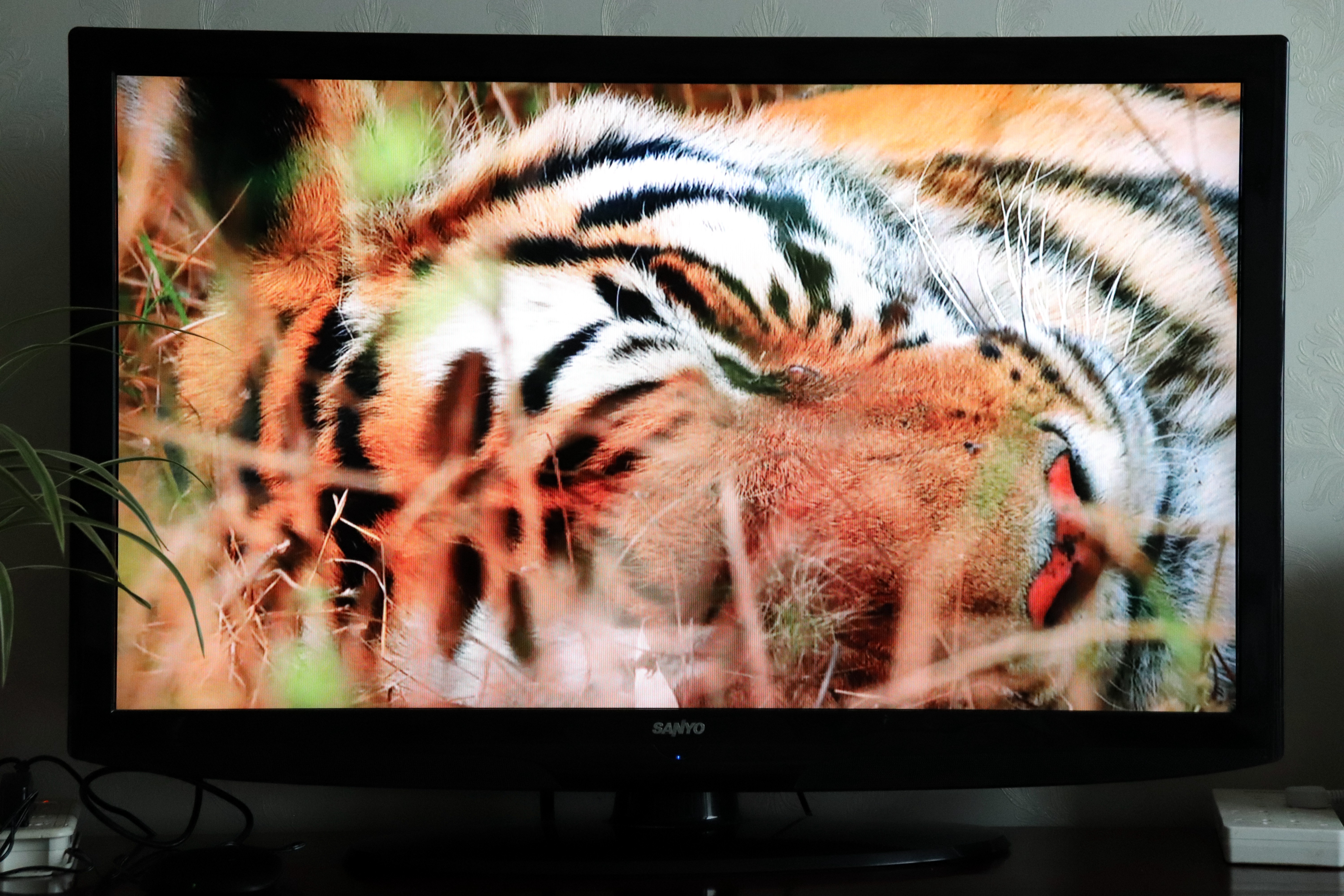 高清的画质，从此告别有线电视-泰捷WE60C升级版电视盒子