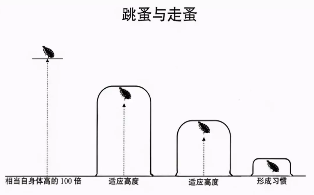 驚人的三大強者定律：螃蟹定律，蘑菇定律，跳蚤定律