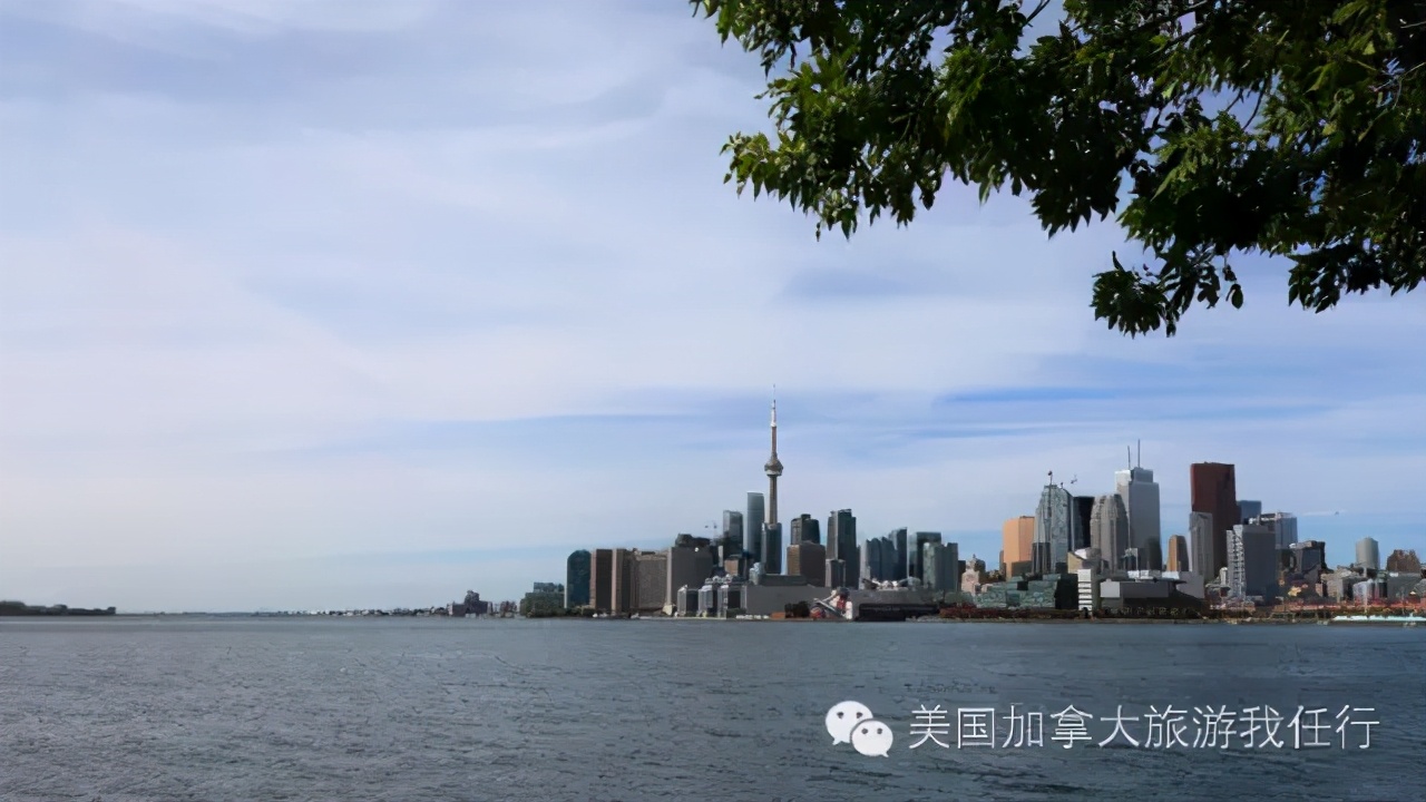 「粉丝原创」沉醉你的容颜