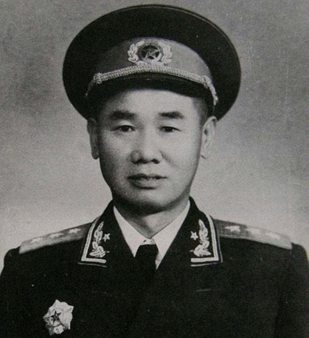 他17岁参加革命，55年授上将军衔，儿子后来却被批死刑