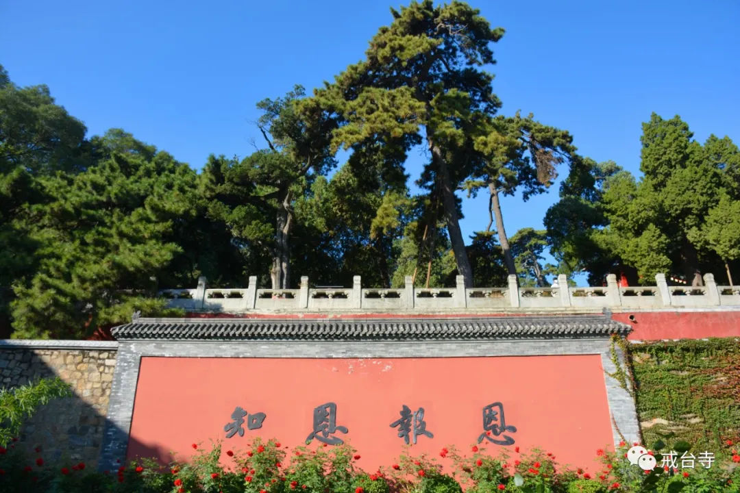 庆百年,品端午,赏音乐诗会,赴戒台祈福
