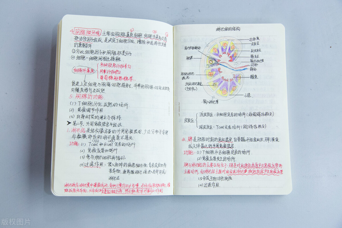 学霸可能不比你聪明，但比你会学习：分享3个高效学习方法