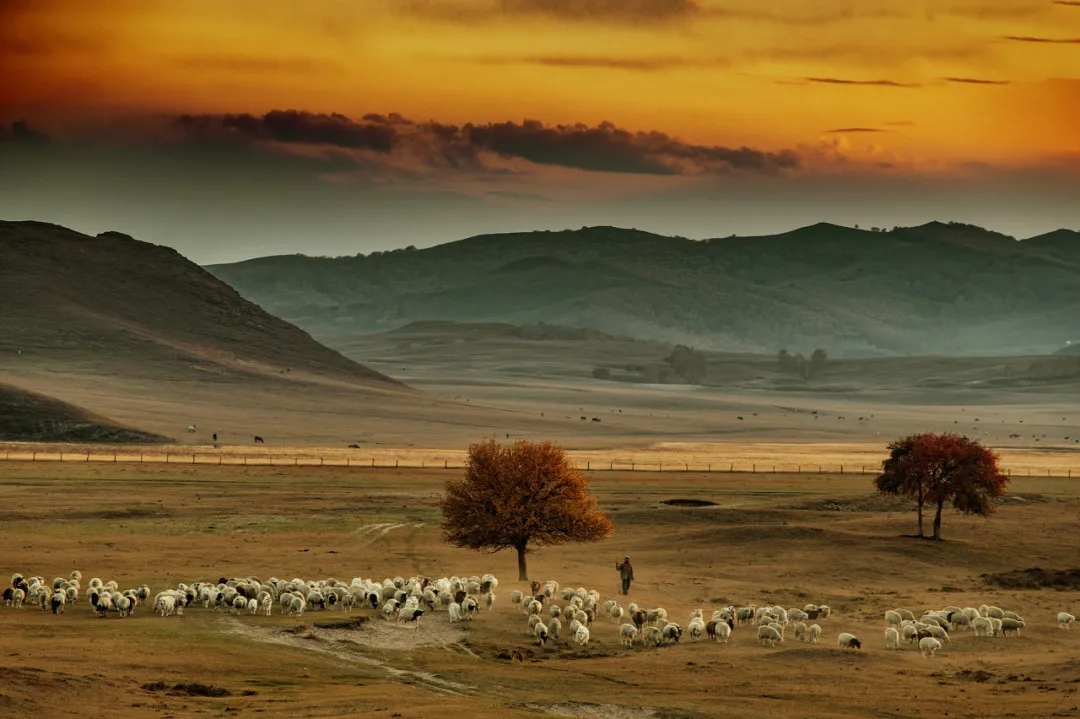 Recommended tourist destinations in late October: go to meet the most romantic autumn scenery!  (under)