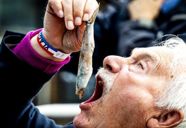 鲱鱼罐头：比臭鸡蛋“臭”19倍，记录了瑞典的一段“悲催史”