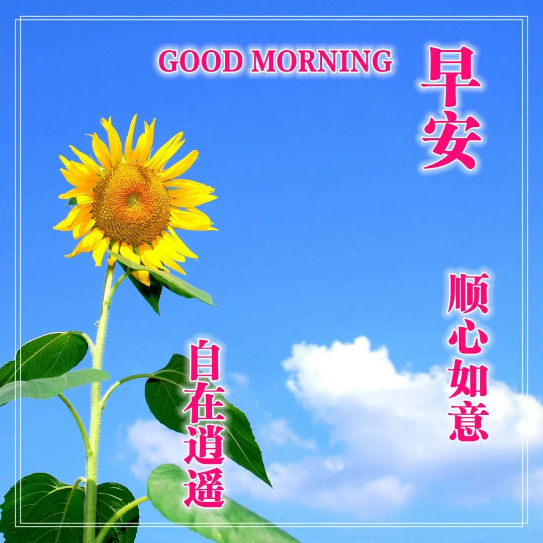 早上的问候图片带上精美的祝福语图片