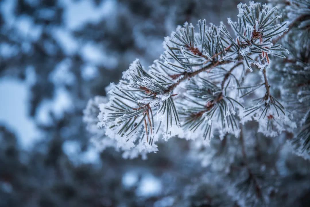 北極向北，邂逅一場絕美極光