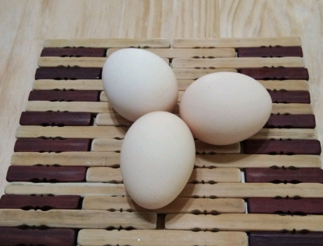 图片[4]-煮鸡蛋技巧 早餐店老板教我3招鲜嫩易剥壳-起舞食谱网