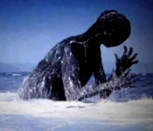 南极洲8大未解的谜团之神奇的“南极洲人造人”