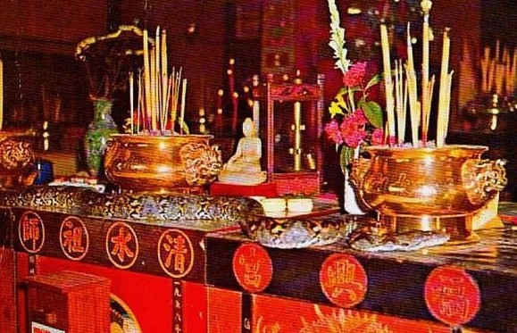 世界唯一的“蛇庙”，寺内四处是青蛇，游客：一点也不怕人