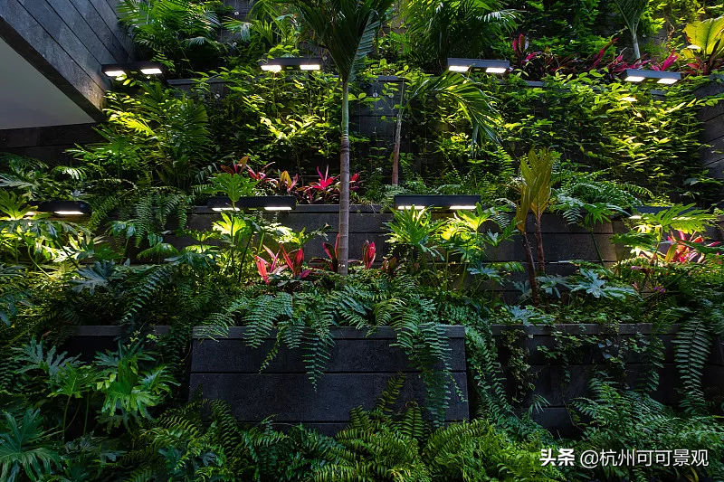 花园设计：打造灵活的花园，看盆栽如何为花园增光添彩，妙极了