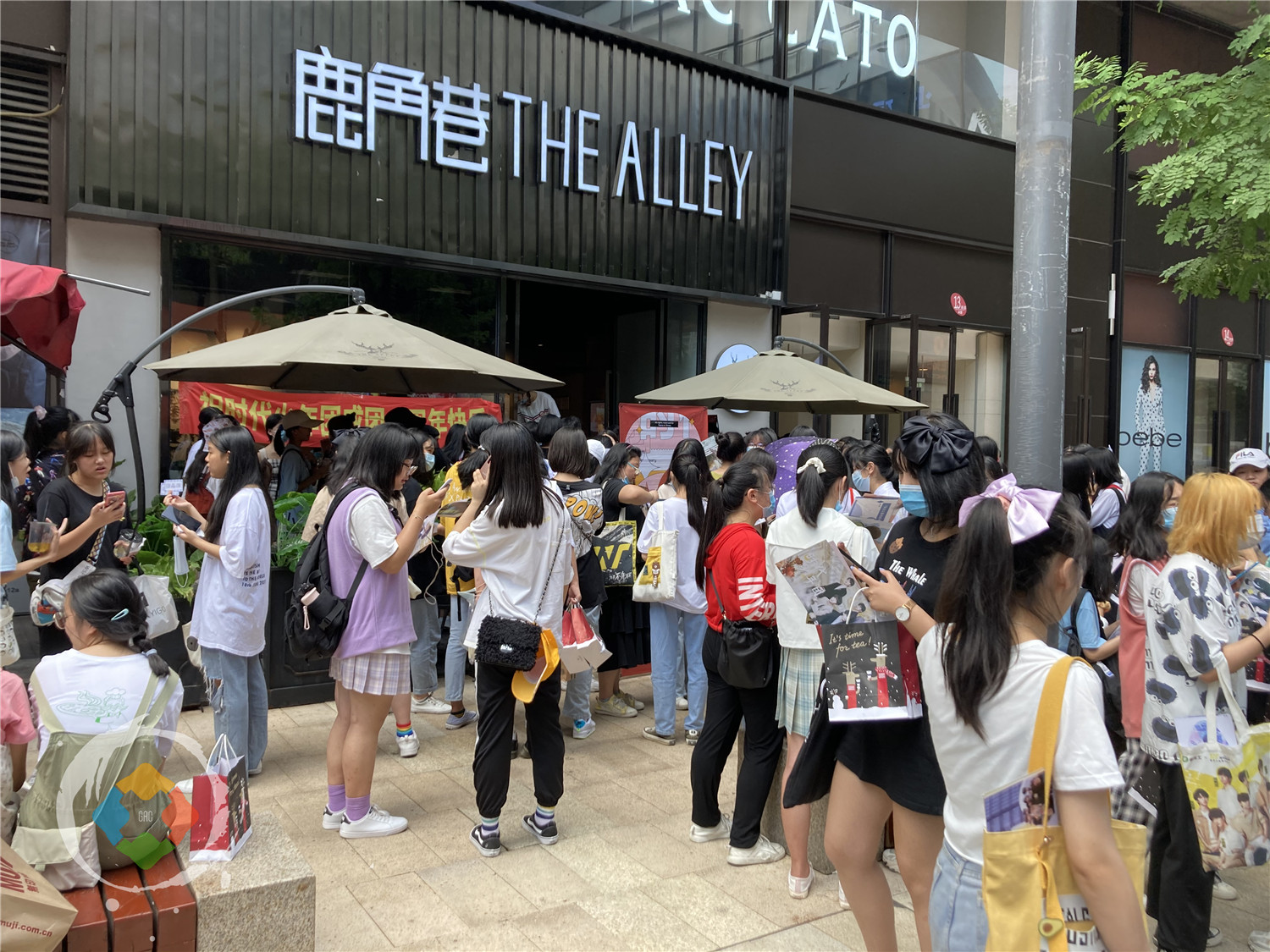 重庆奶茶店被追星族包围，门前水泄不通，都是来看谁的？