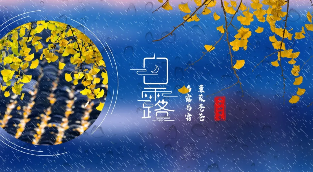 白露|清风白露,愿你无恙-第1张图片-非凡网 白露|清风白露,愿你无恙-第1张图片-非凡网