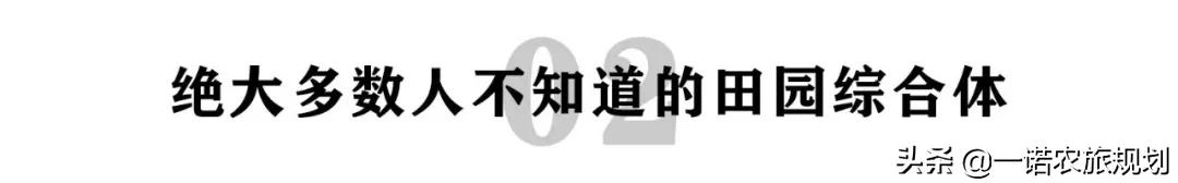 "田园综合体"项目到手,不知道怎么做?
