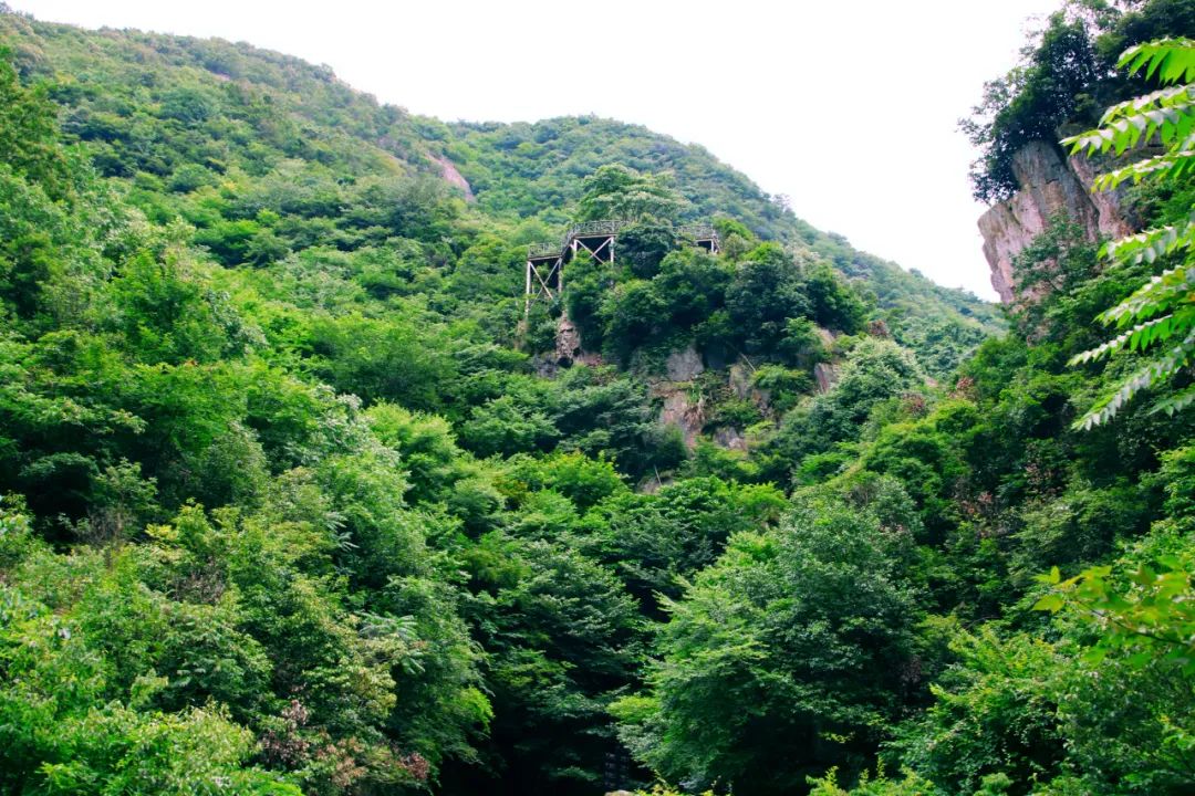 盛夏避暑，龙津溪地山水之间寻清凉！