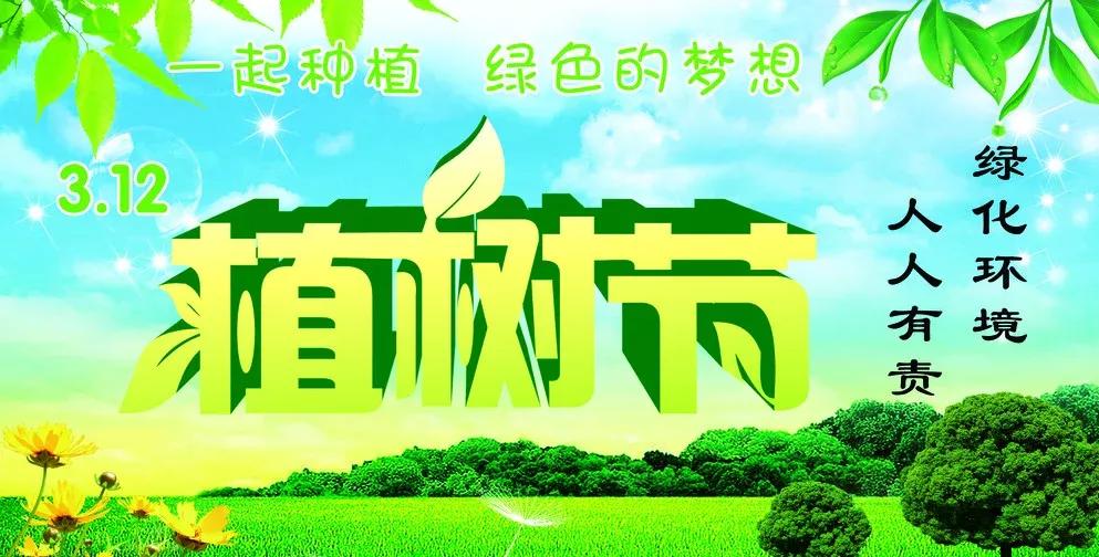 原创一百二十八：七言绝句·白杨