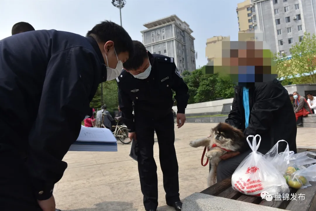 盘锦公安启动遛犬专项巡查!办犬证,管理费这么交!