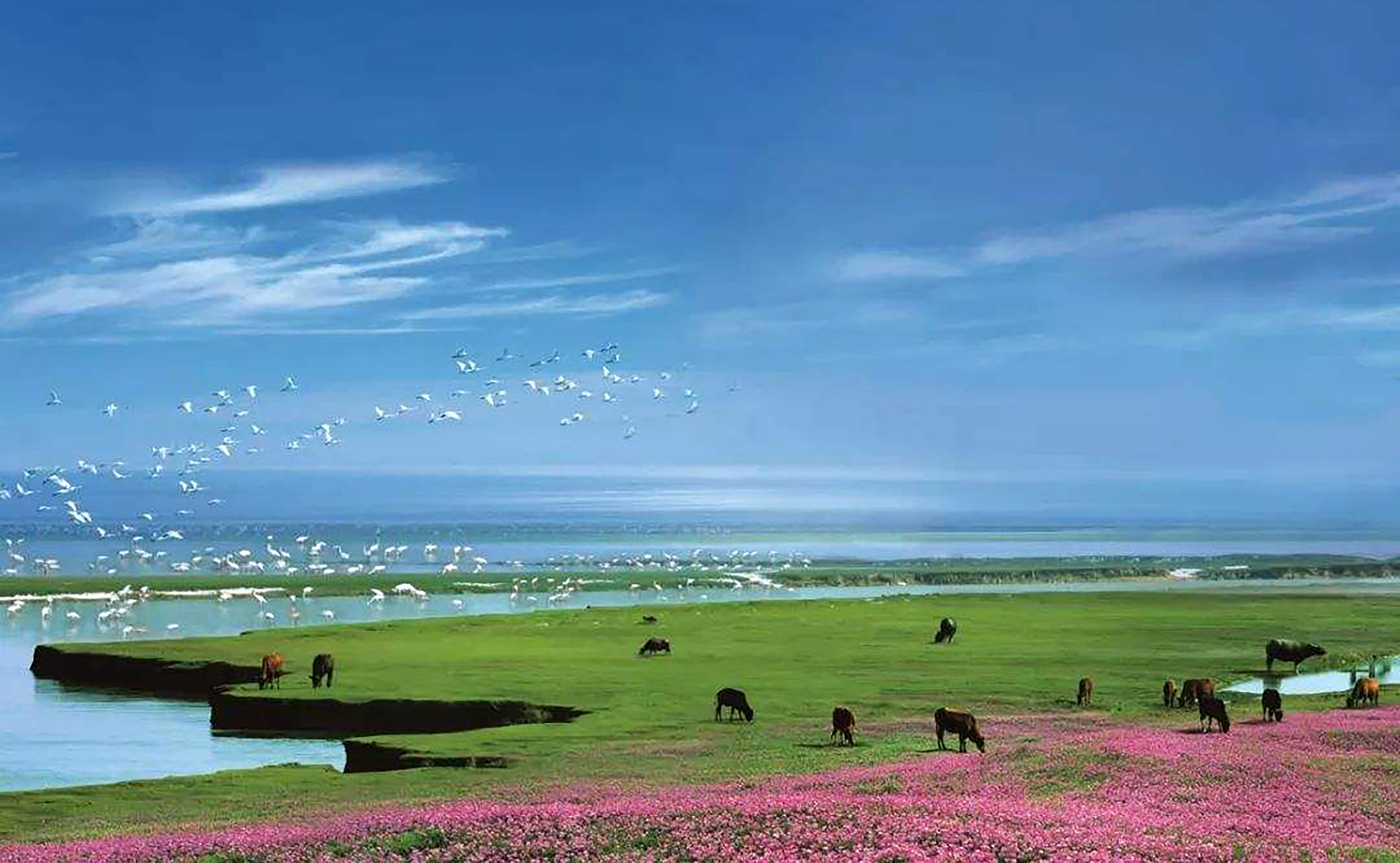 探访我国第一大淡水湖——鄱阳湖