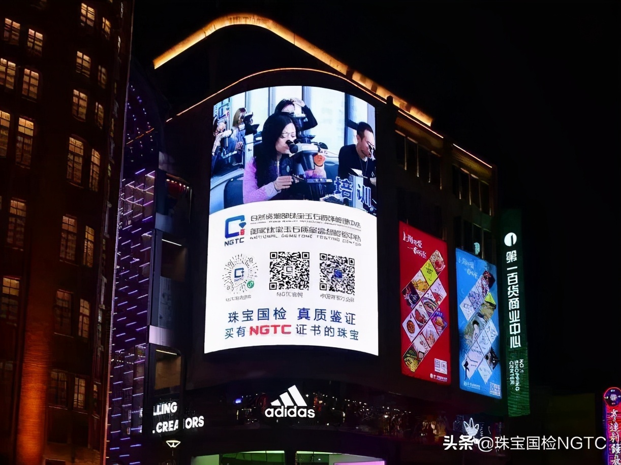 经鉴定,TA确实是进博会上最“闪耀”的仔