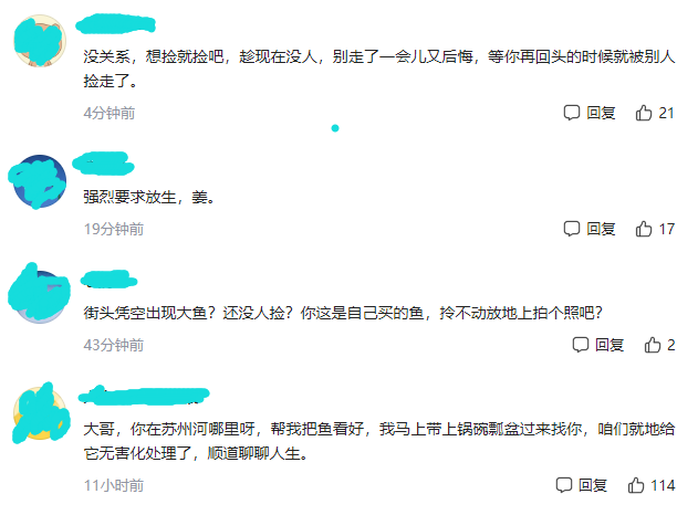 上海一男子在街头发现大鱼，比井盖还长，网友：趁现在没人快捡吧