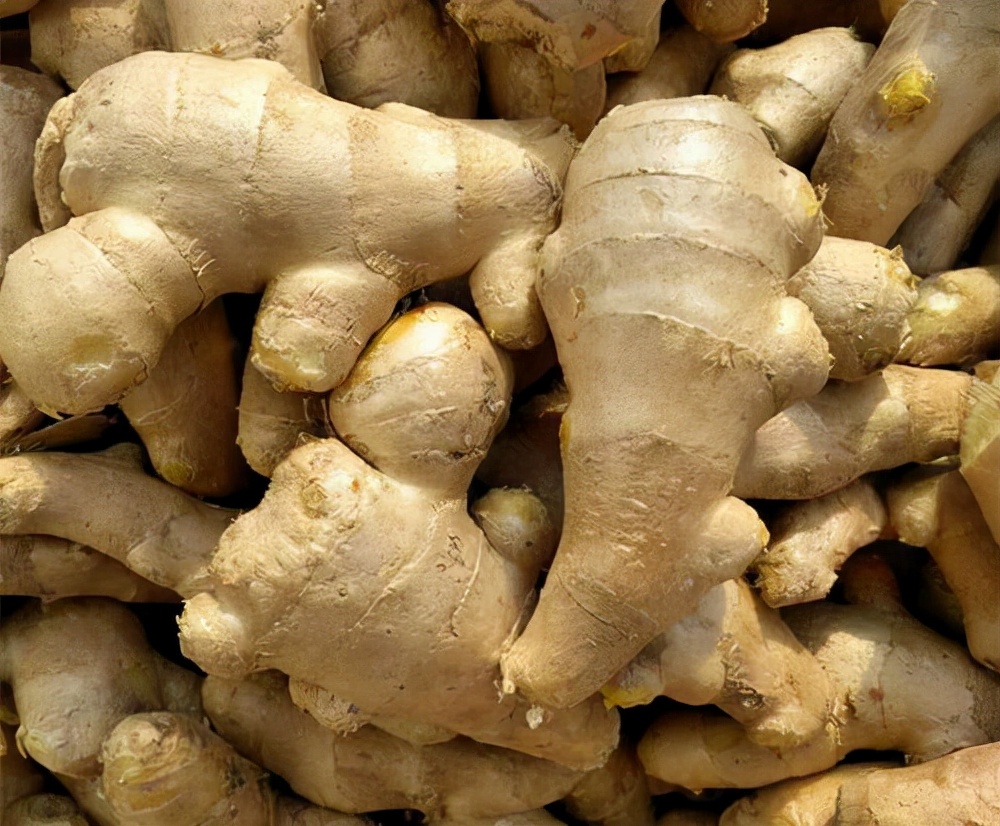 Can eating "vinegar soaked ginger" cure diseases?What happened to those