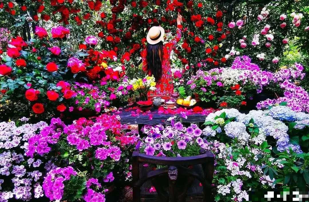 杨丽萍新照只剩骨架，瘦如竹竿皮肤糙，不穿民