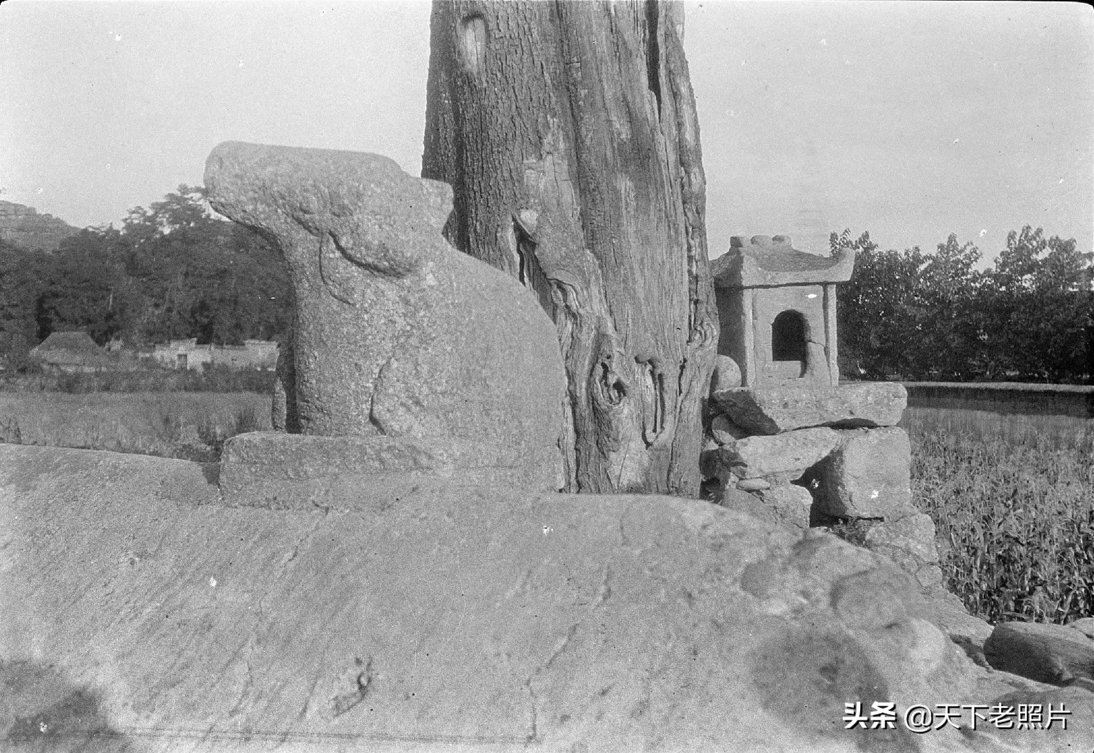 1917年四川安县老照片 百年前的安县景象及人物风貌