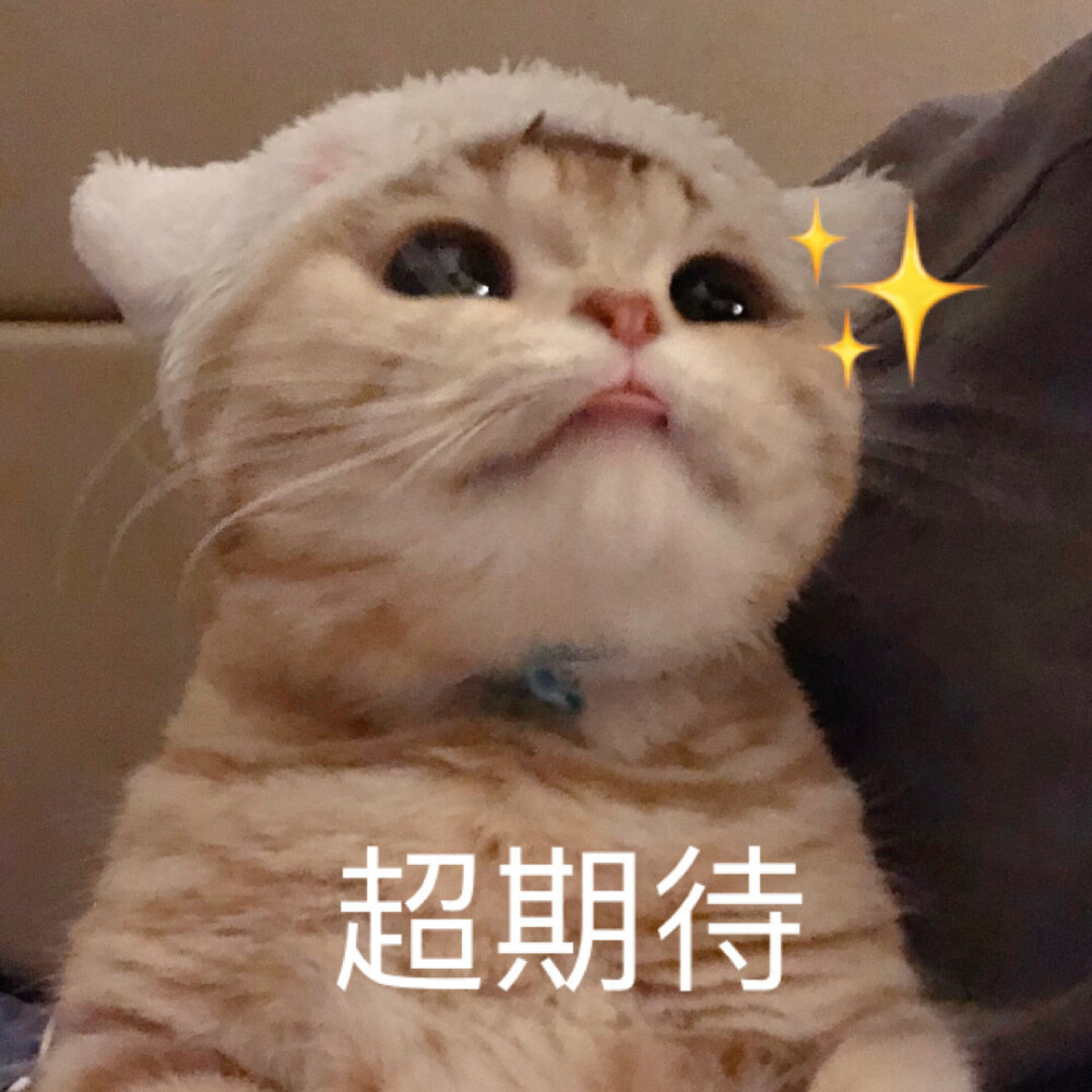 很坏很甜很撩的情话短句 温柔到爆的神仙句子图片