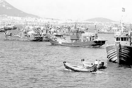 Realistic Battle Royale at Sea: Lu Rongyu No. 2682 Massacre - iMedia
