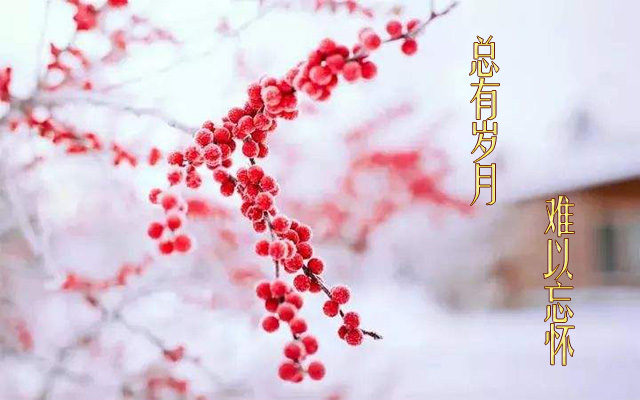 生日中那些难忘的往事，总让人有种期待