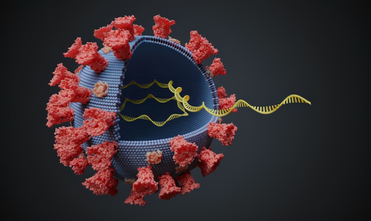 英国专家称：新冠病毒新变种可绕过人体免疫系统，所有疫苗或失效