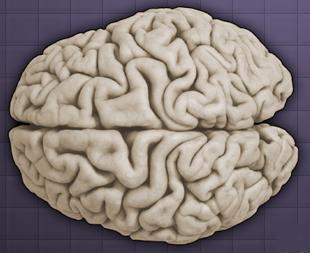 我们的记忆会出现偏差？科学家认为这种感觉是大脑内部的记忆体验
