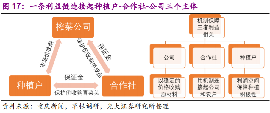 涪陵榨菜投资价值分析报告：深耕渠道做增量，上行周期再启航