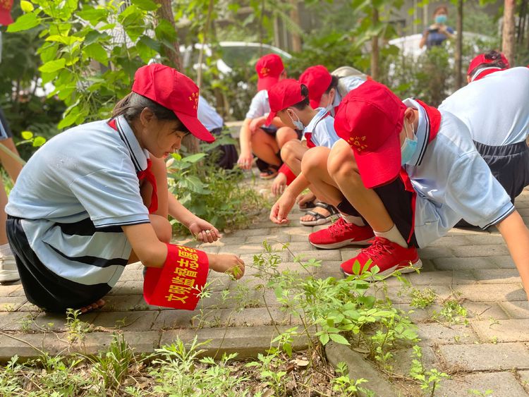 一路欢笑，一路芬芳；不遗余力，贡献力量——我们是来自中华桥小学的志愿者们