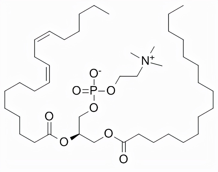 Lecithin granules can help you fix the "problems" of dogs iNEWS