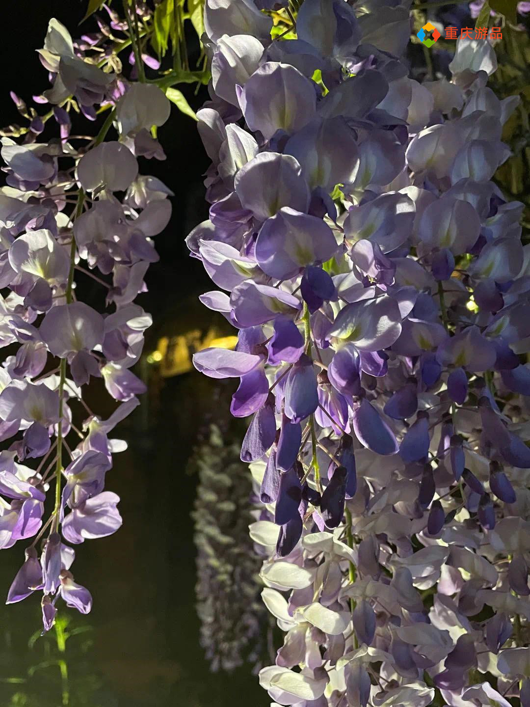 ​重庆小两口环游中国：在泸沽湖被冻得发抖，只能吃自热锅和泡面