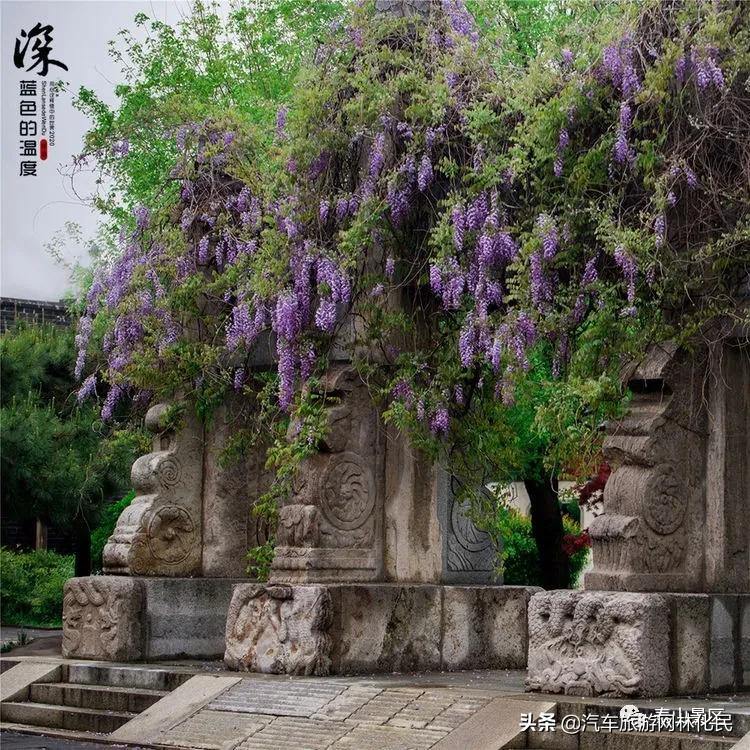 「泰安」中华泰山（含上乘观光车）一日游