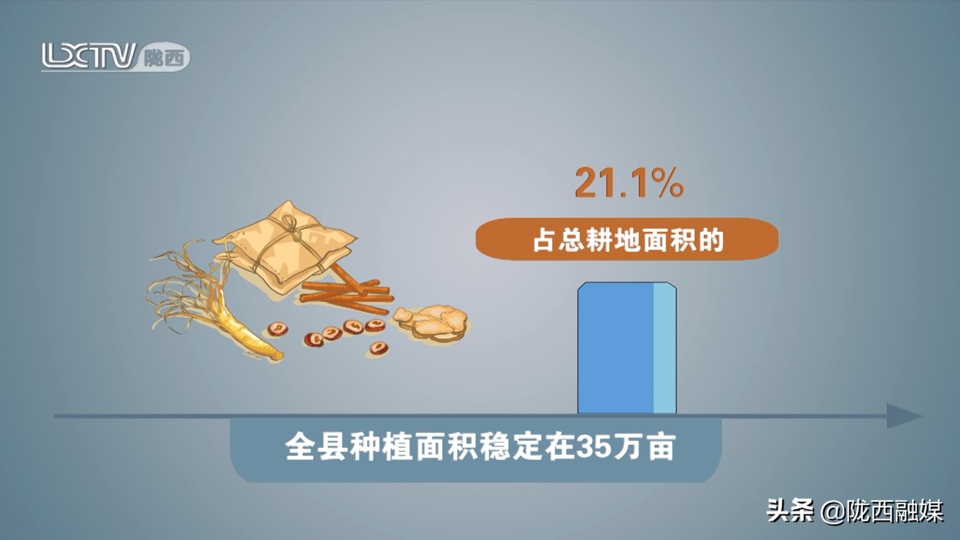 「中医药发展看陇西」绿色道地成为陇西中药材产业厚重底色