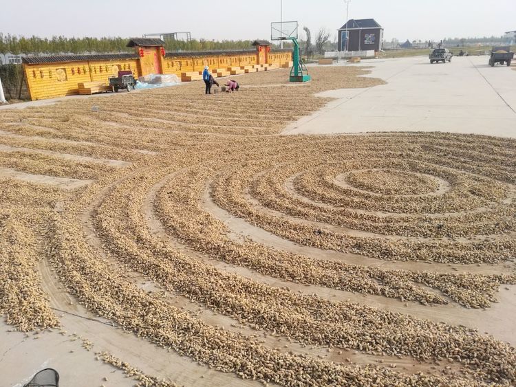 中国著名雕塑家邱天老师告诉您：钢铁装置雕塑是怎么做成的！（三）