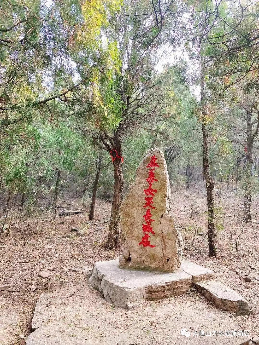 秋冬绿意，盎然而生 这个冬天济南大峰山有很多美好的故事等你来听