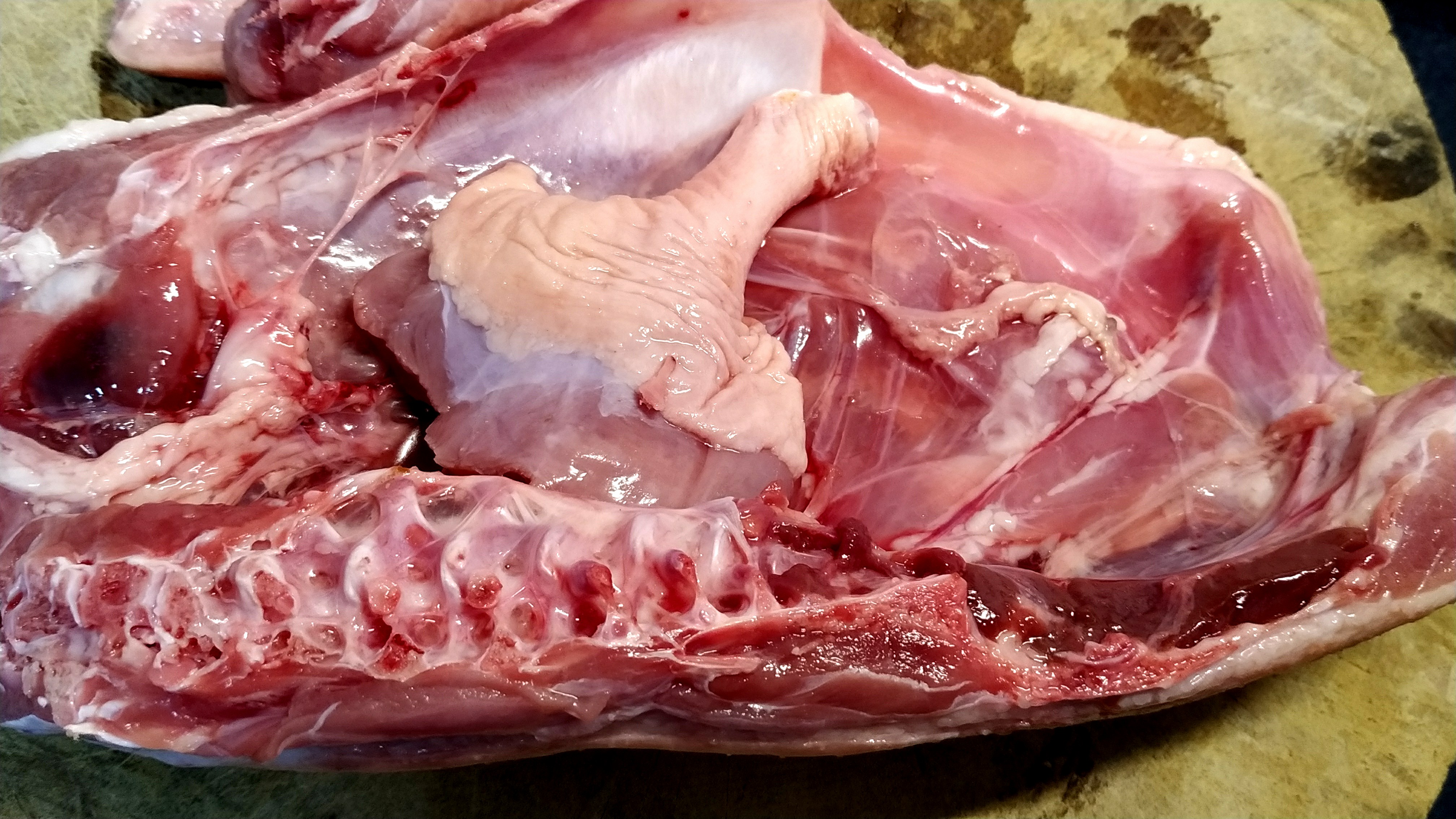 【焦香鸭肉】做法步骤图 酥脆鲜香 香辣爽口 做法简单-起舞食谱网